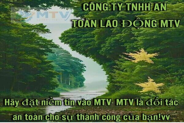 CONG-TY-GSAT-LAO-DONG-MTV 11